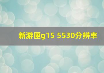 新游匣g15 5530分辨率